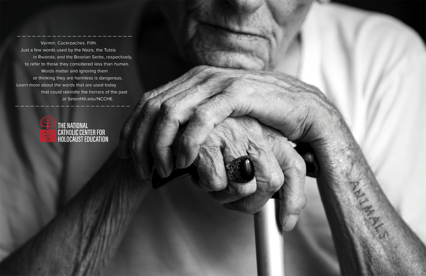 The National Catholic Center for Holocaust Education | Animals